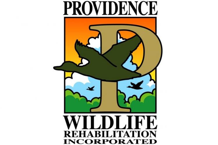 Providence Wildlife Rehabilitation, Inc. 