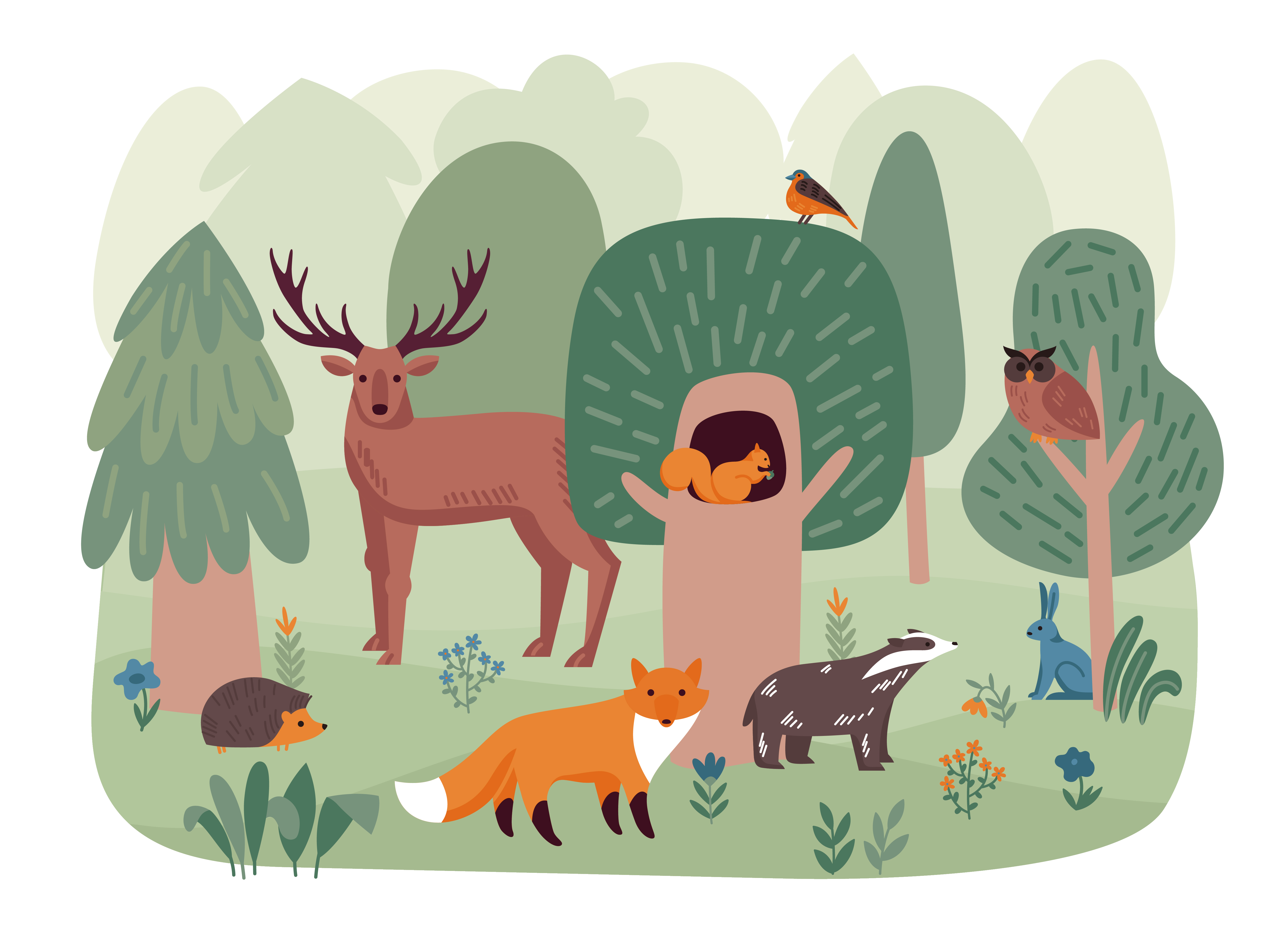 Illustration of several forest animals in a woodland setting