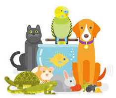 Cartooon image of all types of pets sitting together